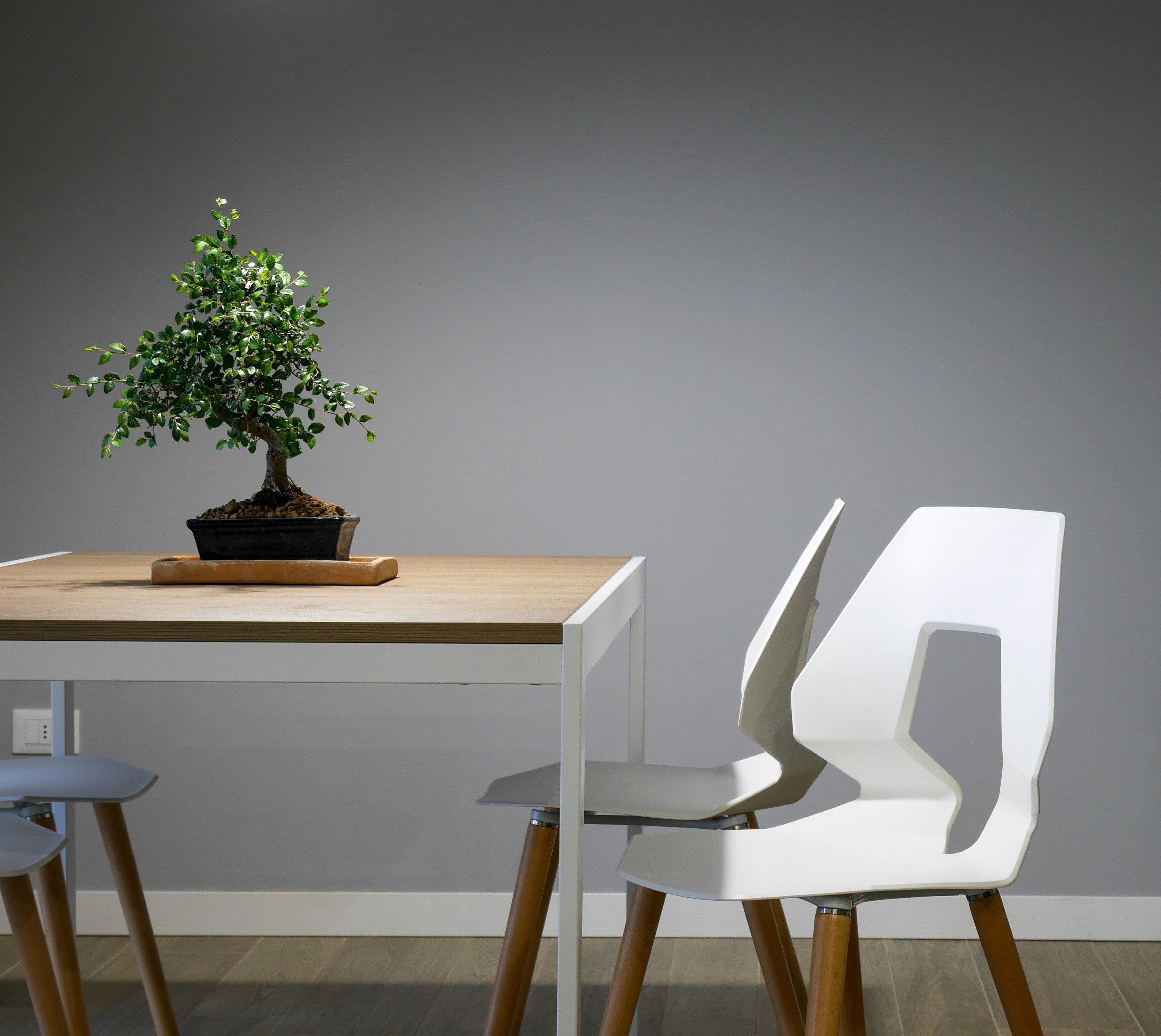 Zen Table